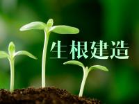 生根建造 生根建造